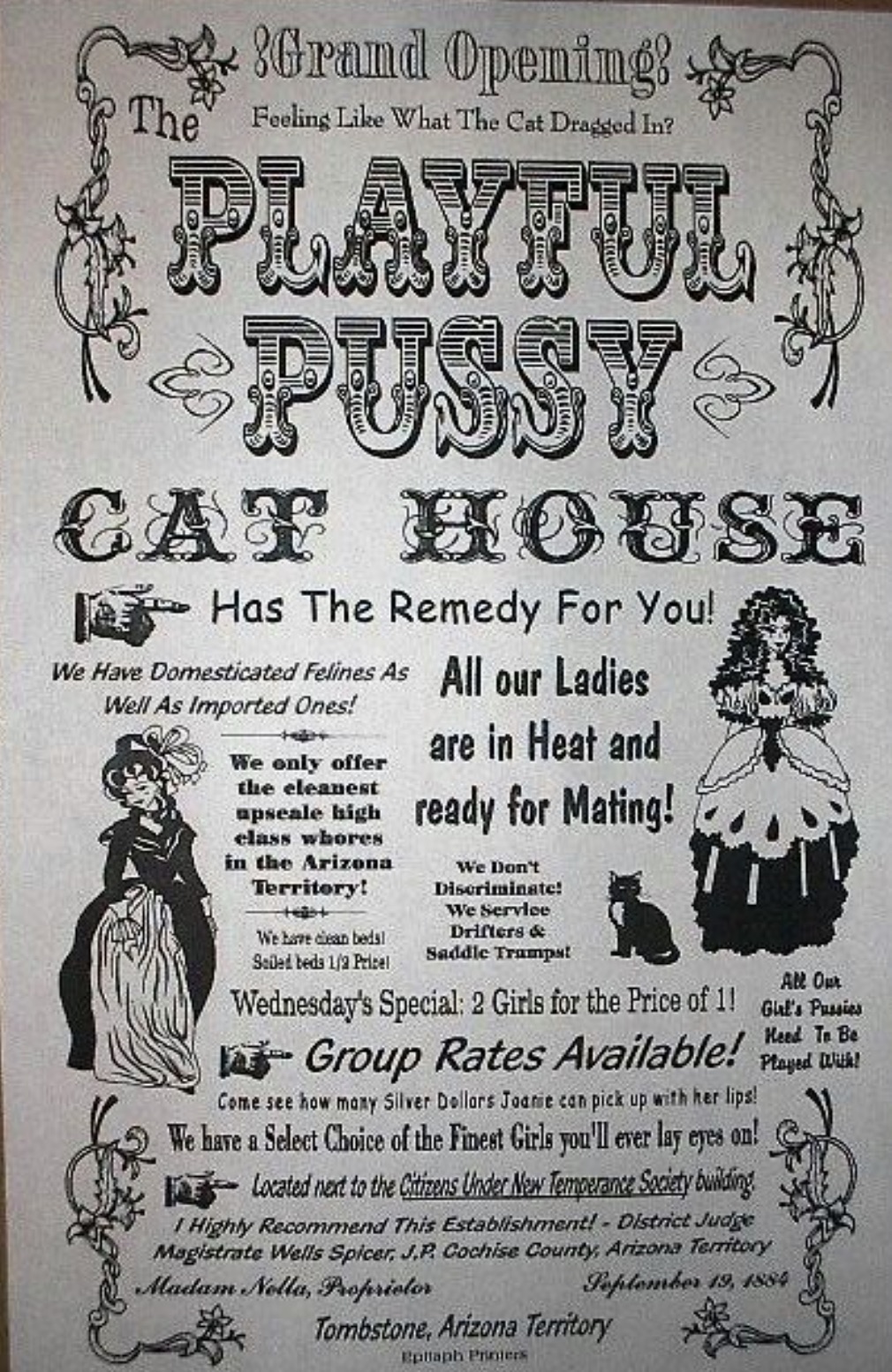 poster - Grand Opening? The Feeling What The Cat Dragged In? Playful Pussy Cat House Has The Remedy For You! We Have Domesticated Felines As All our Ladies Well As Imported Ones! are in Heat and We only offer the cleanest apscale high ready for Mating! cl